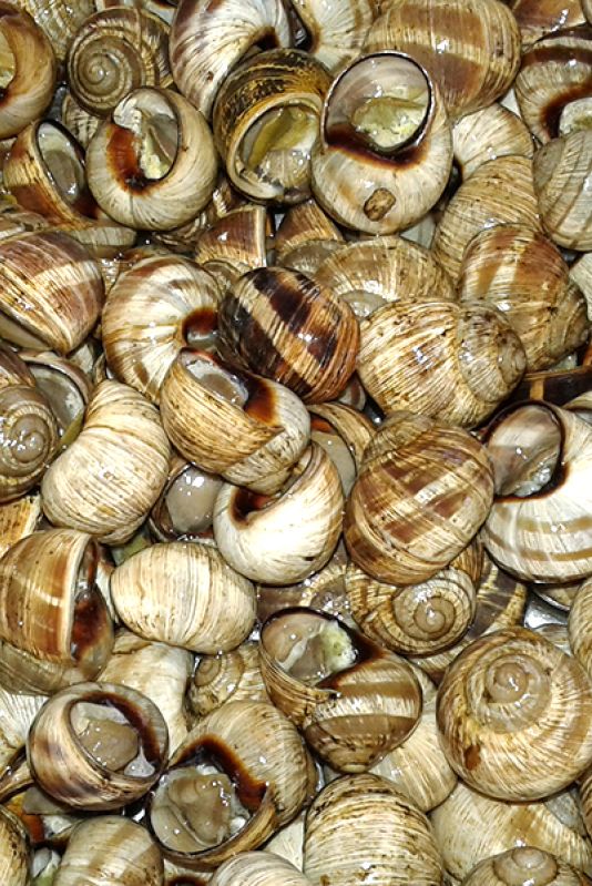 VOULA BEACH RENT ROOMS DITIKOS