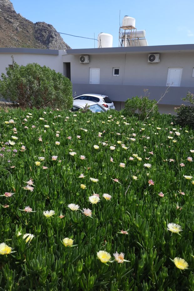 VOULA BEACH RENT ROOMS DITIKOS