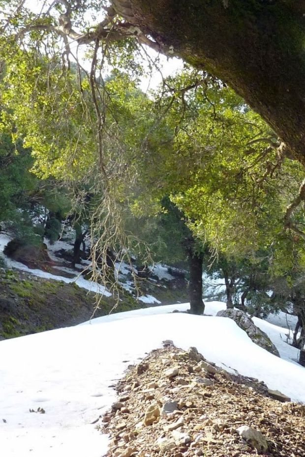 VOULA BEACH RENT ROOMS DITIKOS