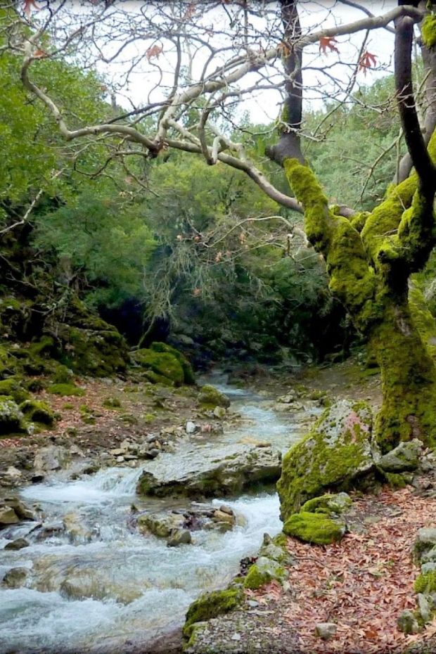 VOULA BEACH RENT ROOMS DITIKOS